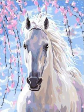 White Horse With Colorful Background